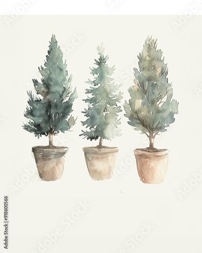 Small three winter Christmas tree in pots in a simple watercolor.