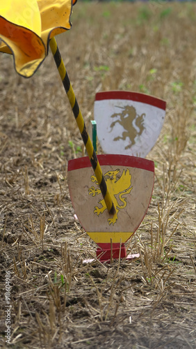 Joute équestre - cible au sol