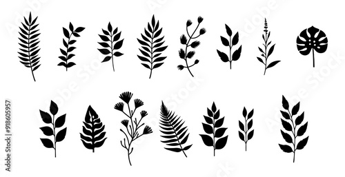 vector illustration. silhouettes of plant branches on a white background
