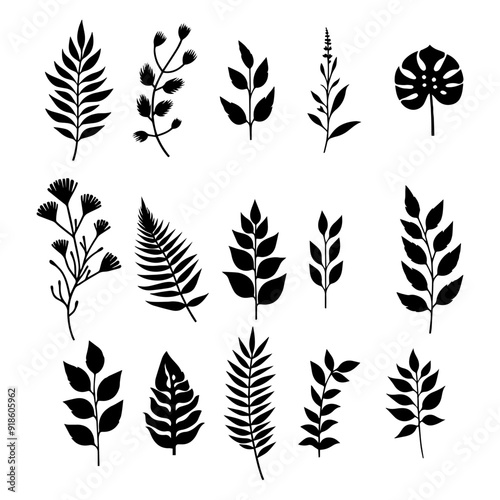 vector illustration. silhouettes of plant branches on a white background