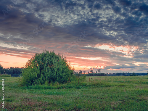 A small tree is in a field with a cloudy sky. The sky is orange and the sun is setting. Agriculture land with clean cut grass. Rural area at sunset.