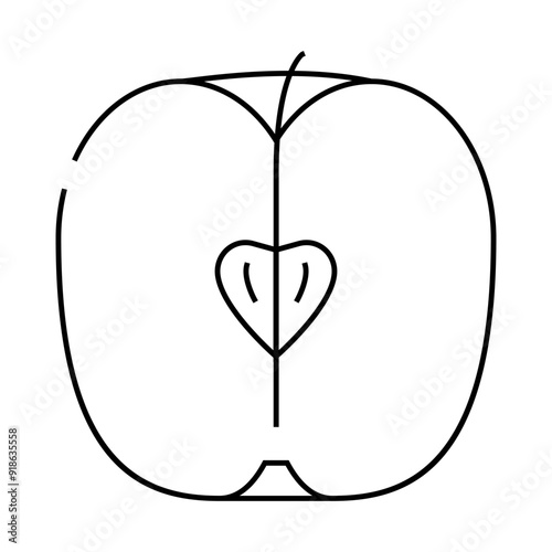 apple cut in half line icon vector. apple cut in half sign. isolated contour symbol black illustration photo