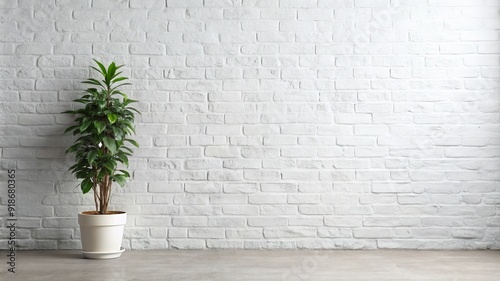 A white room with a large plant in a white pot