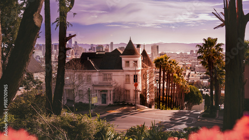 San Francisco Skyline Behind Victorian Houses at Buena Vista Park.