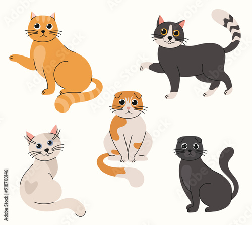 Set of cartoon domestic cats. Flat vector illustration.