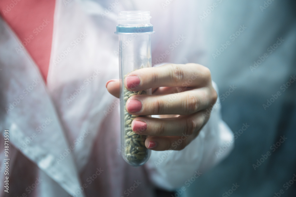 Scientist holding test tube with seeds in laboratory, focusing on agricultural research or genetic engineering. Concept of biotechnology, plant breeding, and food security. Scientist holding test tube with seeds in laboratory, focusing on agricultural research or genetic engineering. Concept of biotechnology, plant breeding, and food security.