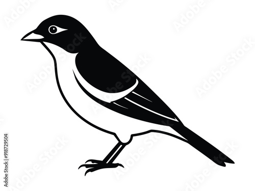 a bird silhouette vector style photo