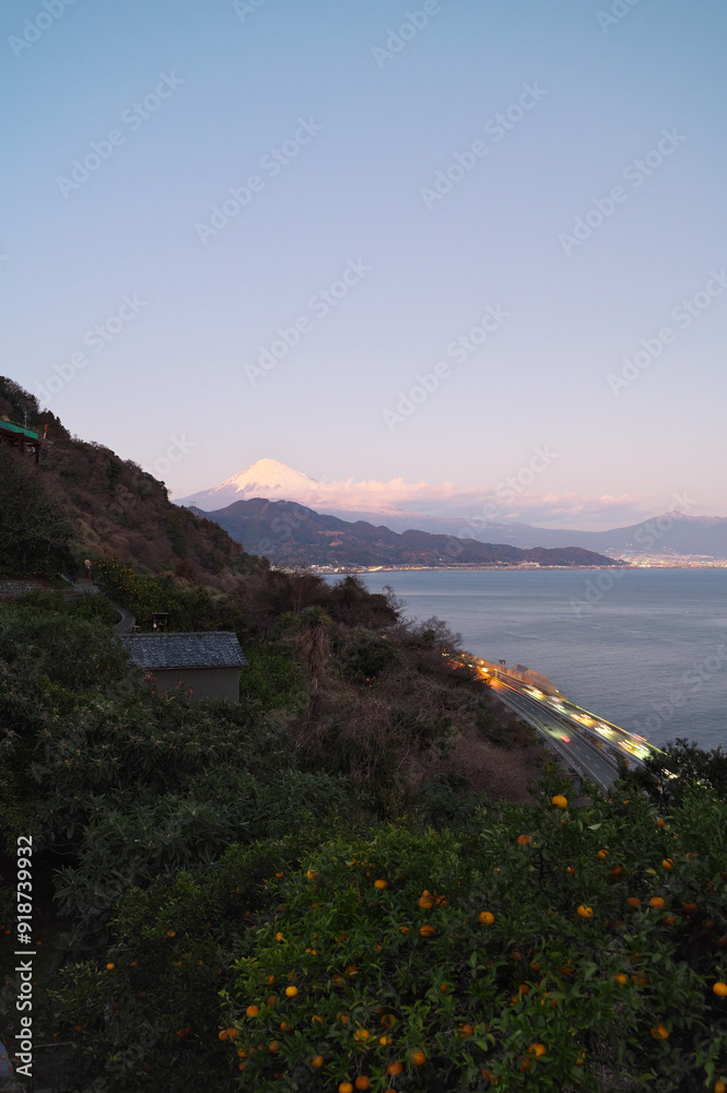 Fototapeta premium 薩埵峠から望む富士山