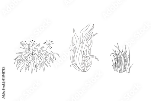 Принти на полотні Plant grass line work illustrator drawing