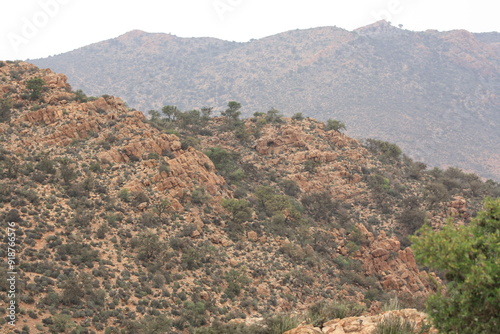 A beautiful view of mountains covered with argan trees