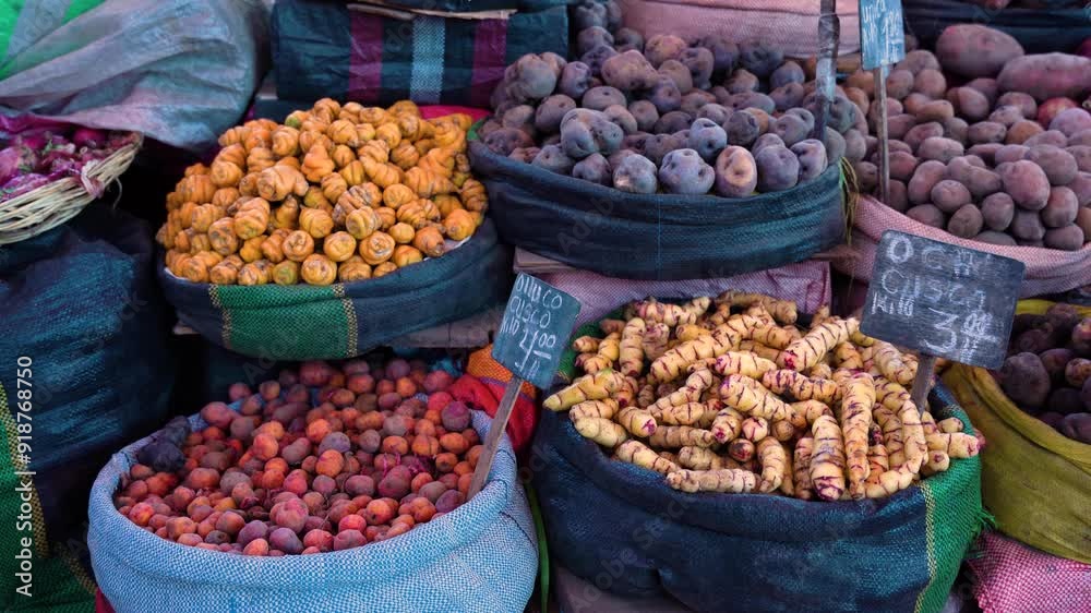 Typical tubers from Peru in the San Camilo Arequipa market
Typical tubers from Peru in the San Camilo Arequipa market