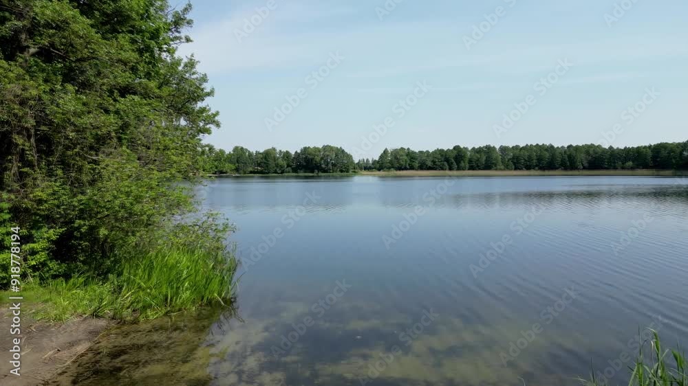 Drone flight from the shore into the lake, view of water surface emerging from behind the trees Drone flight from the shore into the lake, view of water surface emerging from behind the trees