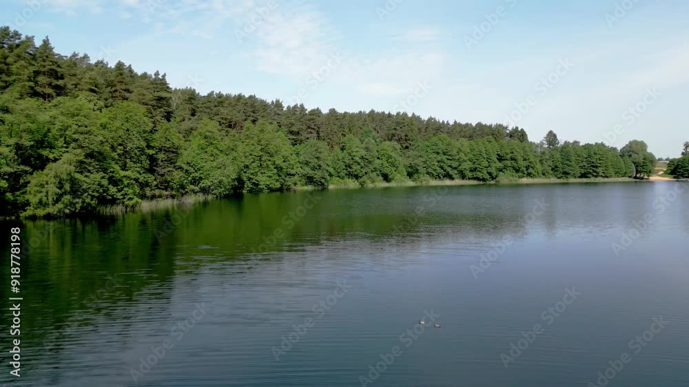 Drone view of a forest by a lake, flying low over the water Drone view of a forest by a lake, flying low over the water