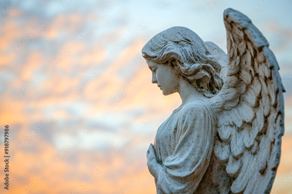 Fototapeta premium angel with wings