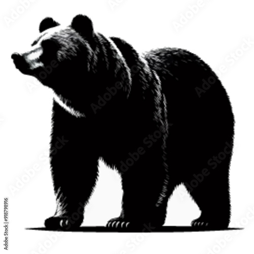 Eurasian brown bear silhouette, bear silhouette

