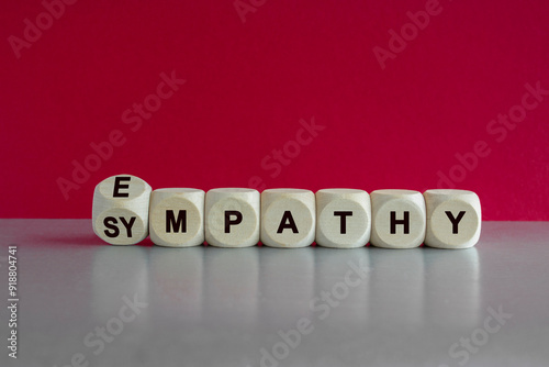 Obraz na płótnie Sympathy or empathy symbol. Turned a wooden cubes and changed the concept word Empathy to Sympathy. Beautiful grey table pink background. Psychological sympathy or empathy concept. w salonie