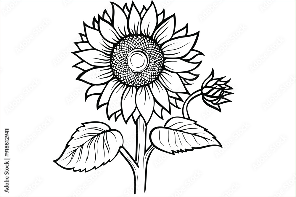 Fototapeta premium Coloring Pages with sun flower for kids. Sunflower Symbol Drawing. Sunflower Doodle. sunflower coloring pages for kids coloring pages for kids coloring pages. 