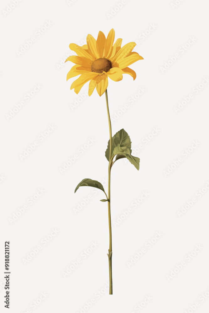 Fototapeta premium Bright yellow sunflower isolated