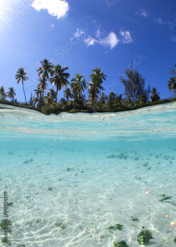 Paradise beach and lagoon with palm trees in Moorea, French polynesia
