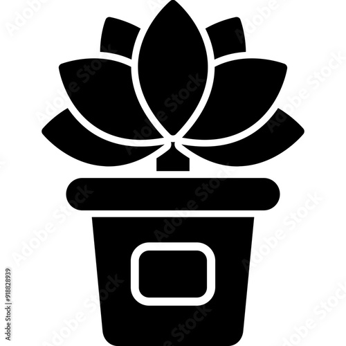Lotus Flower Icon