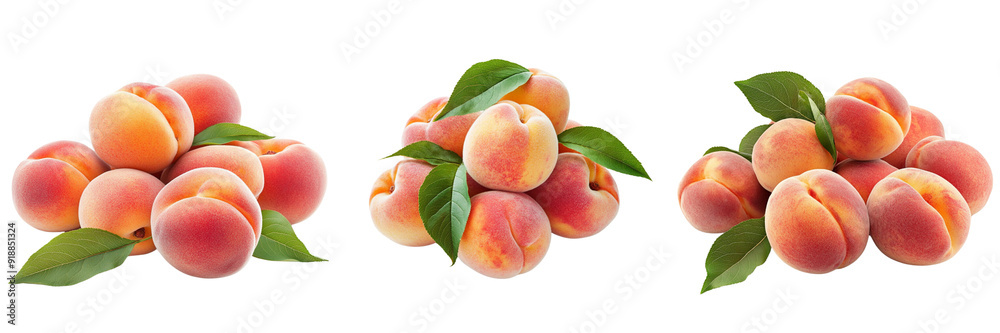 Set of A neat arrangement of ripe peaches with green leaves isolated on transparent background Set of A neat arrangement of ripe peaches with green leaves isolated on transparent background