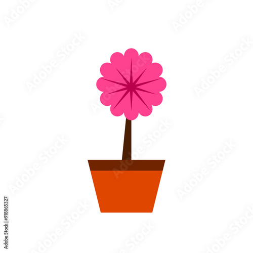 pink flower in a pot