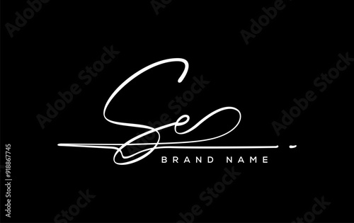 SE  letter beauty handwriting vector logo.