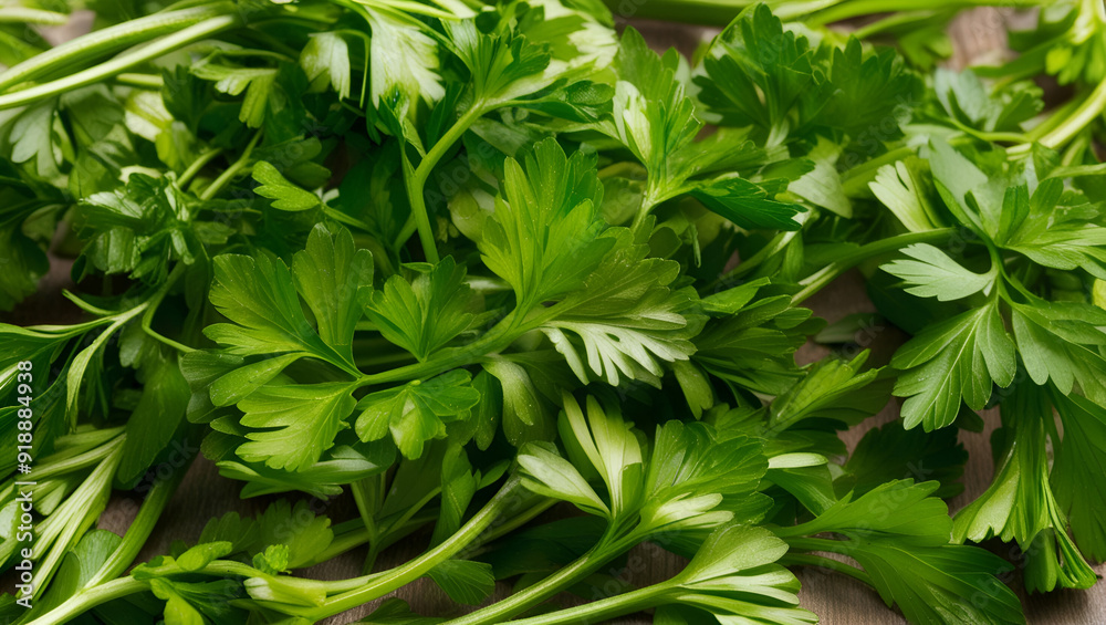 Dry parsley leaves transparent background ai generative Dry parsley leaves transparent background ai generative