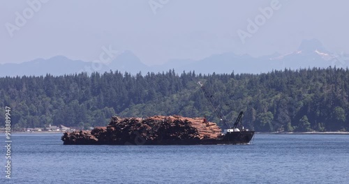 Log transport ship on mountainous river