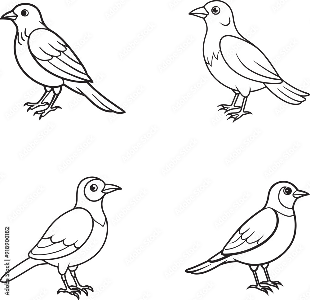 Fototapeta premium set of birds on white background