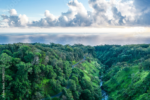 Road to Hana Lush Mountain View