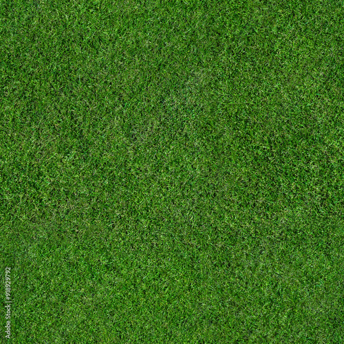 Grass field texture - seamless aerial top view of a large patch of freshly cut, healthy, green grass. Image ready to be tiled to create a much larger texture or higher resolution background pattern.