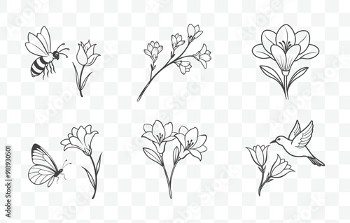 Print Elegant Freesia Line Art Vector Set with Detailed Flower Illustrations for Floral Design and Decoration