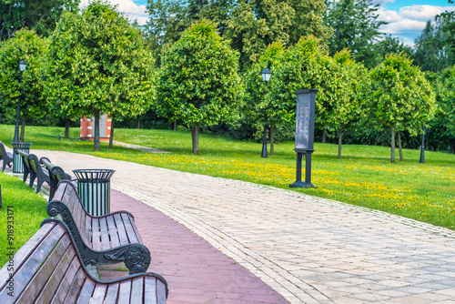 Paved path with benches in city park. Public environment for outdoor recreation. Empty background with municipal park.