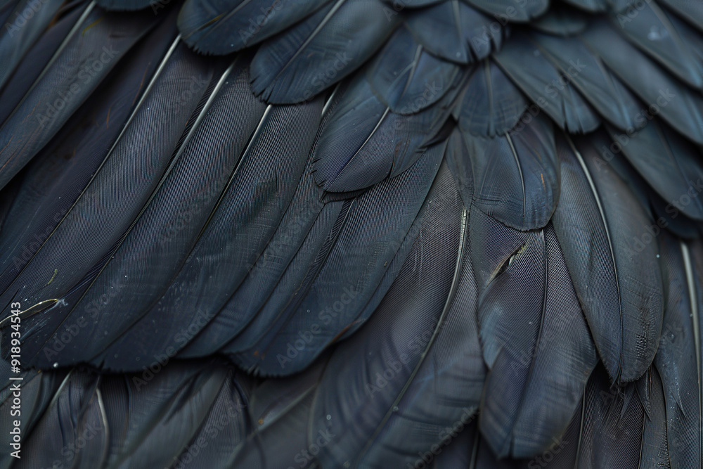 Obraz premium Generative ai on theme of beautiful texture bird feather for design natural abstract background