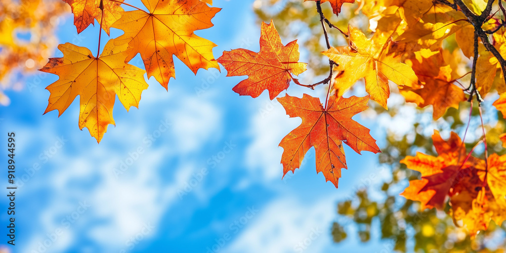 A captivating close-up image of vibrant orange autumn leaves, delicately hanging from a branch, with a clear blue sky backdrop, to celebrate the season of fall. A captivating close-up image of vibrant orange autumn leaves, delicately hanging from a branch, with a clear blue sky backdrop, to celebrate the season of fall.