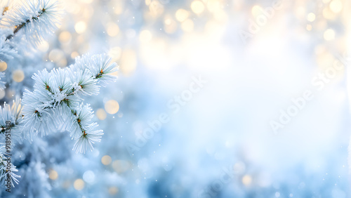 snow covered branches photo