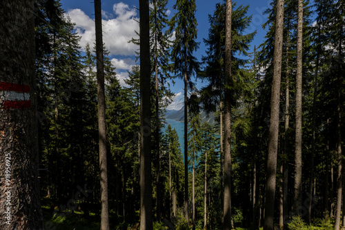 Blick auf den Achensee