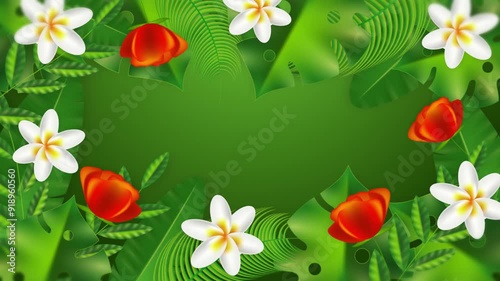 Tropical flower frame | 4K