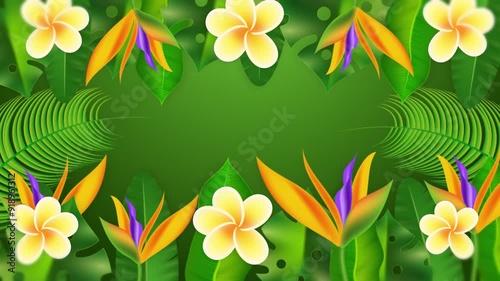 Tropical flower frame | 4K