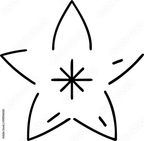 star anise, icon outline gradient