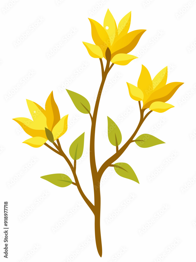 Forsythia plant vector illustration
Forsythia plant vector illustration