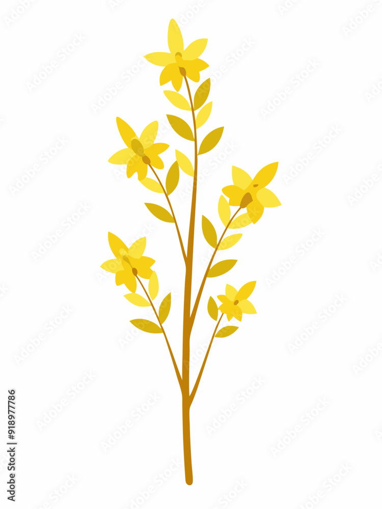 Forsythia plant vector illustration
Forsythia plant vector illustration