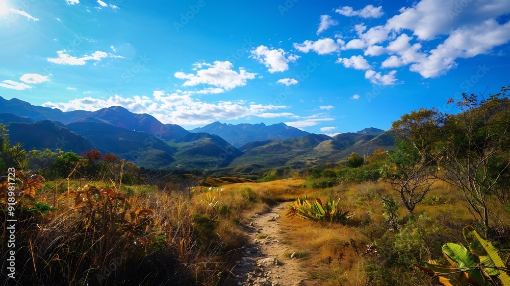 Serene Mountain Path Under a Blue Sky Serene Mountain Path Under a Blue Sky