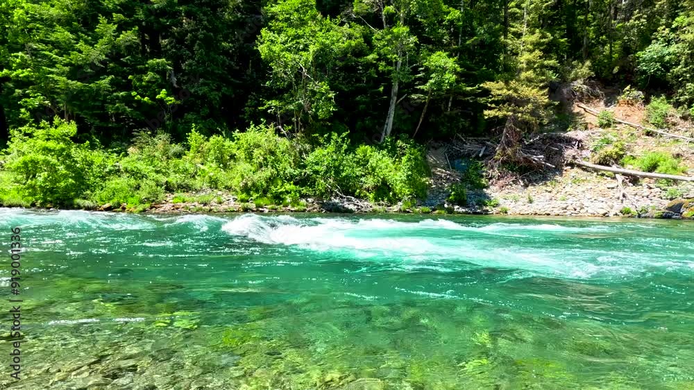 Trees sit behind emerald water waves Trees sit behind emerald water waves