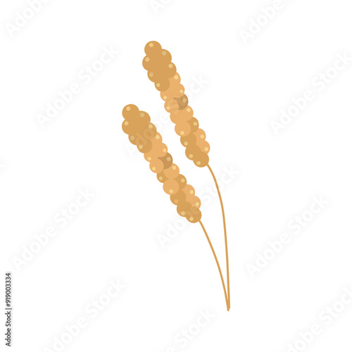 Millet ears cereal agriculture illustration