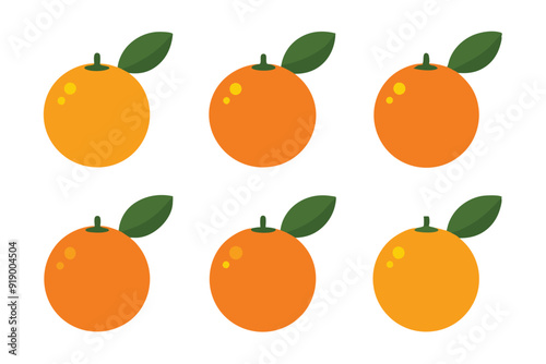 Calamondin color art illustration with vibrant design