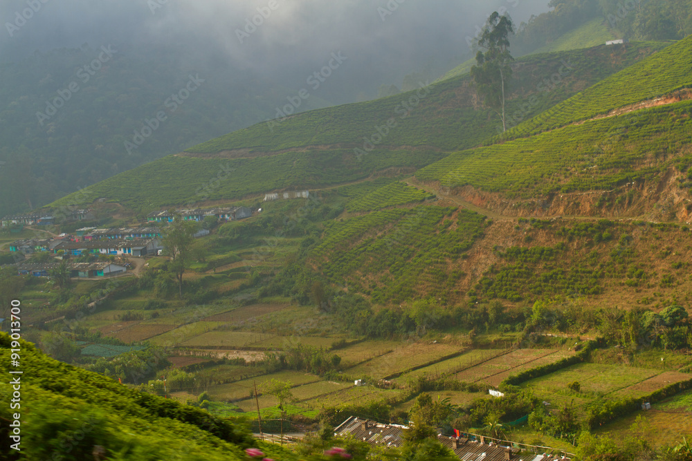 Farming village in the mountain valley