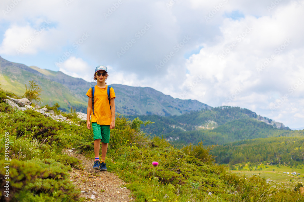 Fototapeta premium boy with a backpack walks through a mountain meadow during the summer holidays. trekking and hiking.
