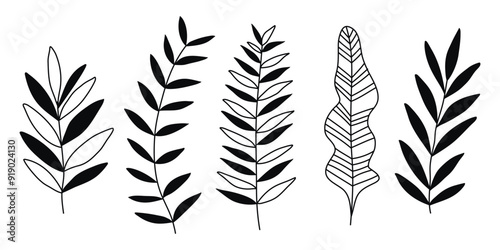 Hand drawn doodle tropical leaves set isolated on white background